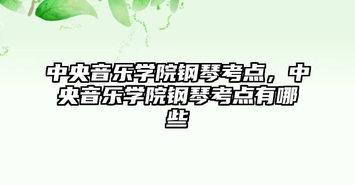 中央音樂學院鋼琴考點，中央音樂學院鋼琴考點有哪些