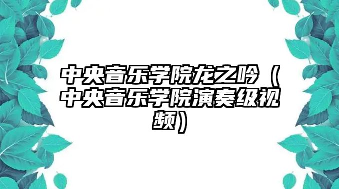 中央音樂學院龍之吟（中央音樂學院演奏級視頻）