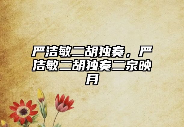 嚴(yán)潔敏二胡獨(dú)奏，嚴(yán)潔敏二胡獨(dú)奏二泉映月