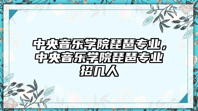 中央音樂學院琵琶專業，中央音樂學院琵琶專業招幾人