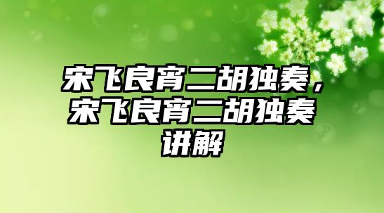 宋飛良宵二胡獨奏，宋飛良宵二胡獨奏講解