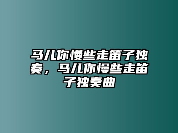 馬兒你慢些走笛子獨奏，馬兒你慢些走笛子獨奏曲