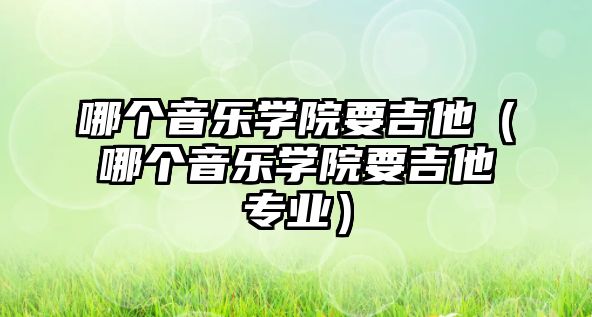 哪個音樂學院要吉他（哪個音樂學院要吉他專業）