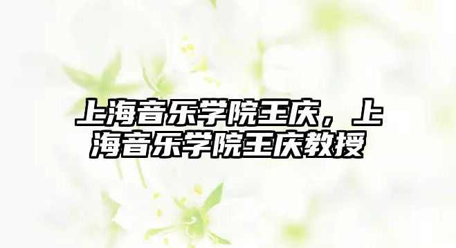 上海音樂學院王慶，上海音樂學院王慶教授