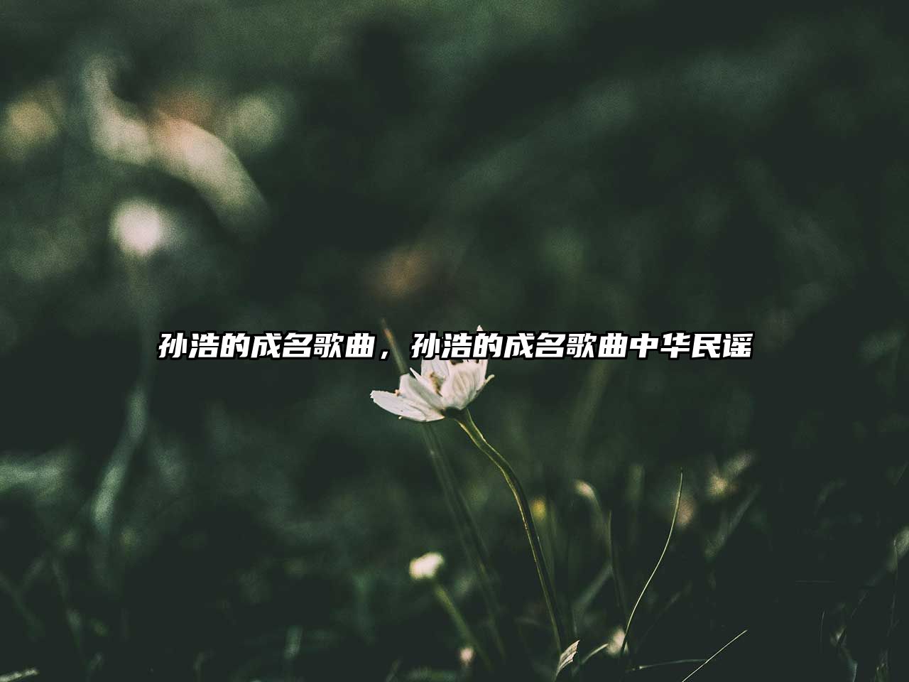 孫浩的成名歌曲，孫浩的成名歌曲中華民謠