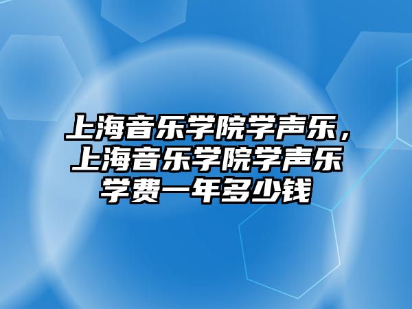 上海音樂學院學聲樂，上海音樂學院學聲樂學費一年多少錢