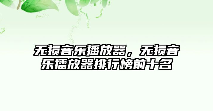 無損音樂播放器，無損音樂播放器排行榜前十名