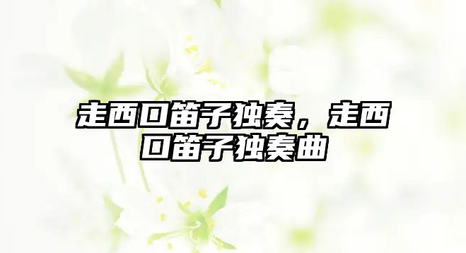 走西口笛子獨奏，走西口笛子獨奏曲