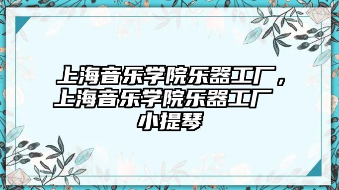 上海音樂學(xué)院樂器工廠，上海音樂學(xué)院樂器工廠 小提琴