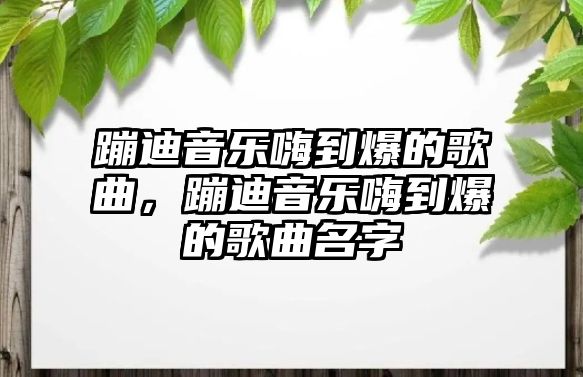 蹦迪音樂嗨到爆的歌曲，蹦迪音樂嗨到爆的歌曲名字