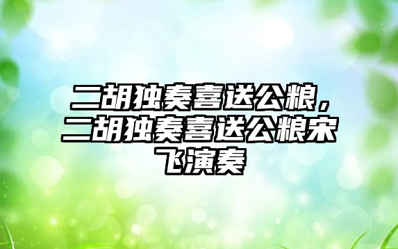 二胡獨奏喜送公糧，二胡獨奏喜送公糧宋飛演奏