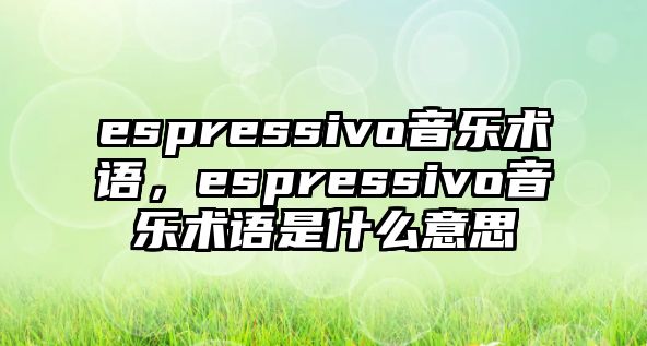 espressivo音樂術(shù)語，espressivo音樂術(shù)語是什么意思