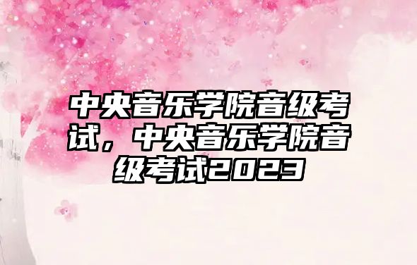 中央音樂學院音級考試，中央音樂學院音級考試2023