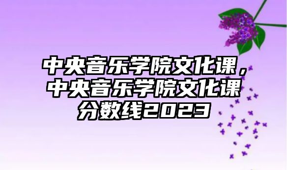 中央音樂學院文化課，中央音樂學院文化課分數(shù)線2023