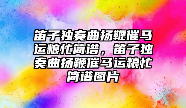 笛子獨奏曲揚鞭催馬運糧忙簡譜，笛子獨奏曲揚鞭催馬運糧忙簡譜圖片