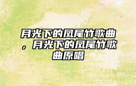 月光下的鳳尾竹歌曲，月光下的鳳尾竹歌曲原唱