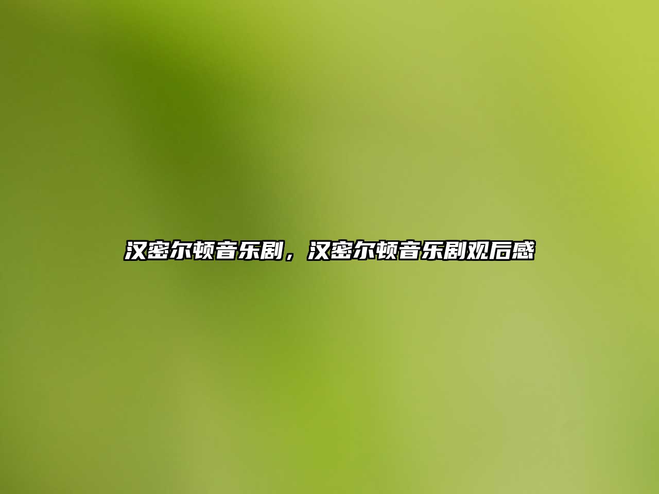 漢密爾頓音樂劇，漢密爾頓音樂劇觀后感