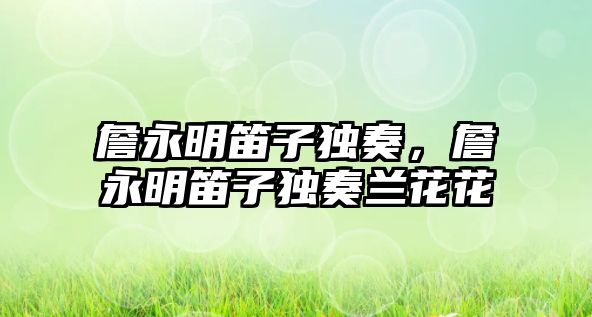 詹永明笛子獨奏，詹永明笛子獨奏蘭花花