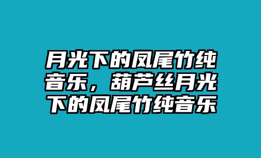 月光下的鳳尾竹純音樂，葫蘆絲月光下的鳳尾竹純音樂