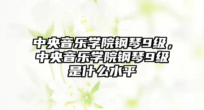 中央音樂學院鋼琴9級，中央音樂學院鋼琴9級是什么水平