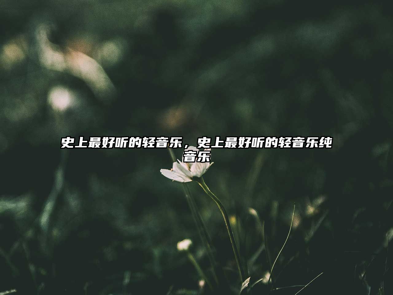 史上最好聽的輕音樂，史上最好聽的輕音樂純音樂