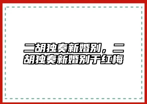 二胡獨奏新婚別，二胡獨奏新婚別于紅梅