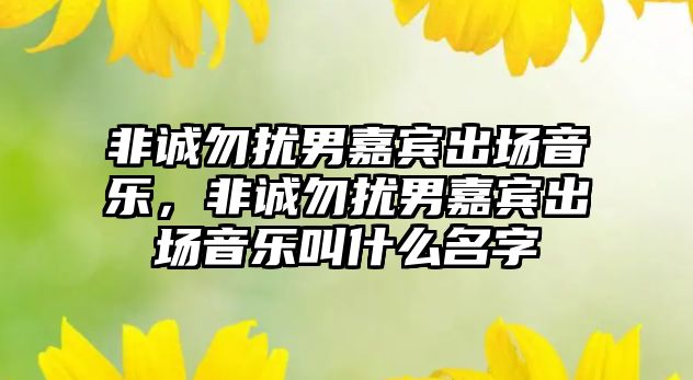 非誠勿擾男嘉賓出場音樂，非誠勿擾男嘉賓出場音樂叫什么名字