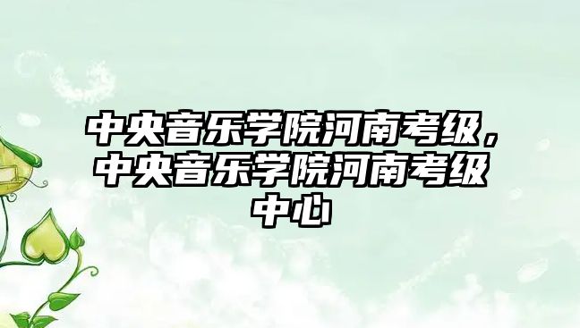 中央音樂學院河南考級，中央音樂學院河南考級中心