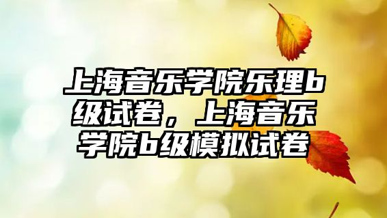 上海音樂學院樂理b級試卷，上海音樂學院b級模擬試卷