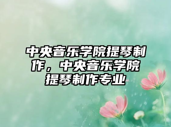 中央音樂學(xué)院提琴制作，中央音樂學(xué)院提琴制作專業(yè)