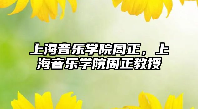 上海音樂學(xué)院周正，上海音樂學(xué)院周正教授