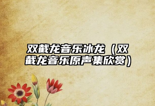 雙截龍音樂冰龍（雙截龍音樂原聲集欣賞）