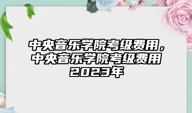 中央音樂學院考級費用，中央音樂學院考級費用2023年