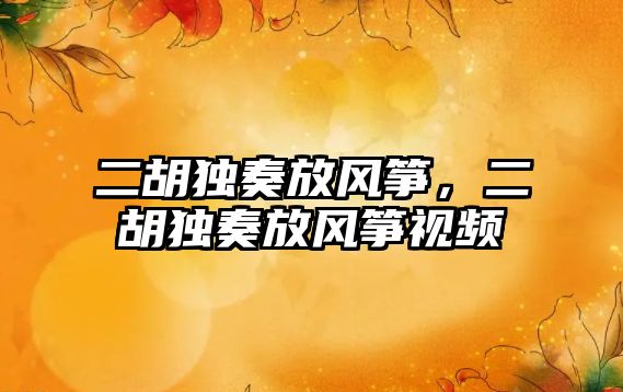 二胡獨奏放風箏，二胡獨奏放風箏視頻