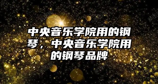 中央音樂學院用的鋼琴，中央音樂學院用的鋼琴品牌