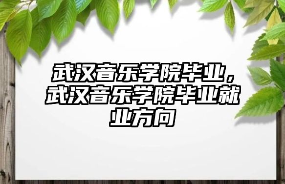 武漢音樂學院畢業，武漢音樂學院畢業就業方向