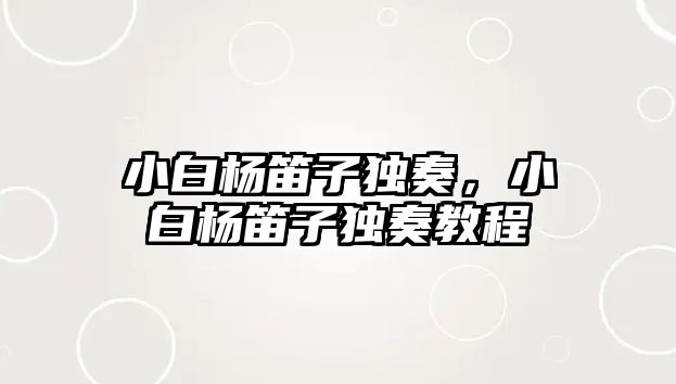 小白楊笛子獨奏，小白楊笛子獨奏教程