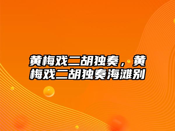 黃梅戲二胡獨奏，黃梅戲二胡獨奏海灘別