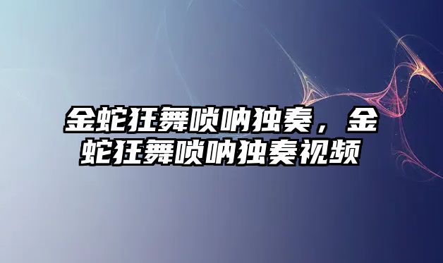 金蛇狂舞嗩吶獨奏，金蛇狂舞嗩吶獨奏視頻