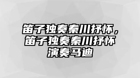 笛子獨奏秦川抒懷，笛子獨奏秦川抒懷演奏馬迪