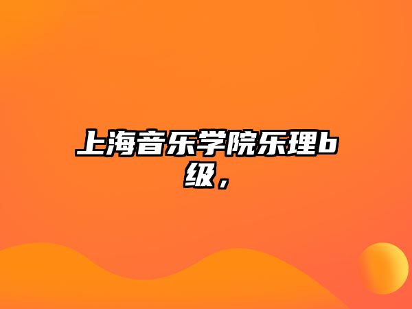 上海音樂學院樂理b級，