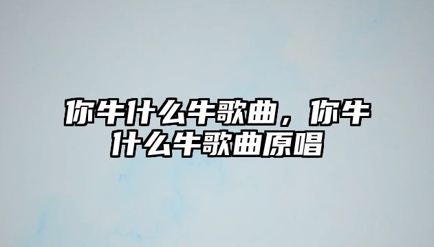 你牛什么牛歌曲，你牛什么牛歌曲原唱