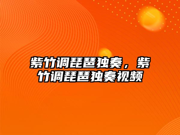 紫竹調琵琶獨奏，紫竹調琵琶獨奏視頻