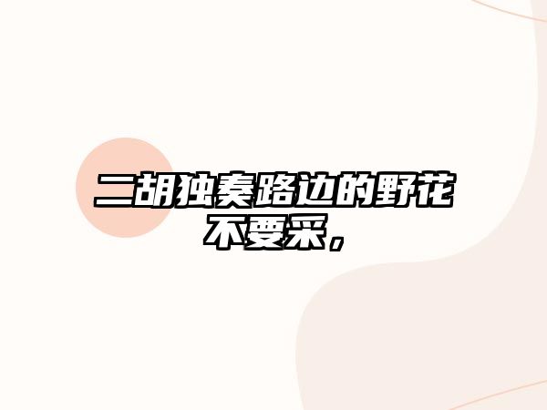 二胡獨奏路邊的野花不要采，