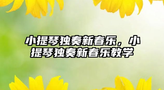 小提琴獨奏新春樂，小提琴獨奏新春樂教學