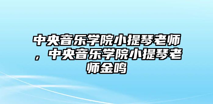 中央音樂學院小提琴老師，中央音樂學院小提琴老師金鳴