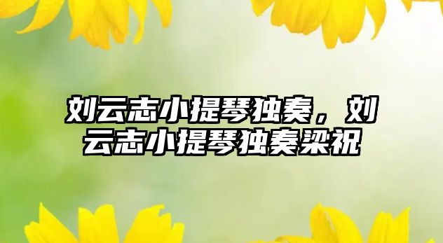 劉云志小提琴獨奏，劉云志小提琴獨奏梁祝