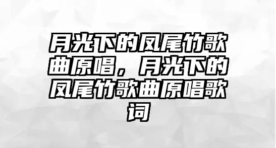 月光下的鳳尾竹歌曲原唱，月光下的鳳尾竹歌曲原唱歌詞