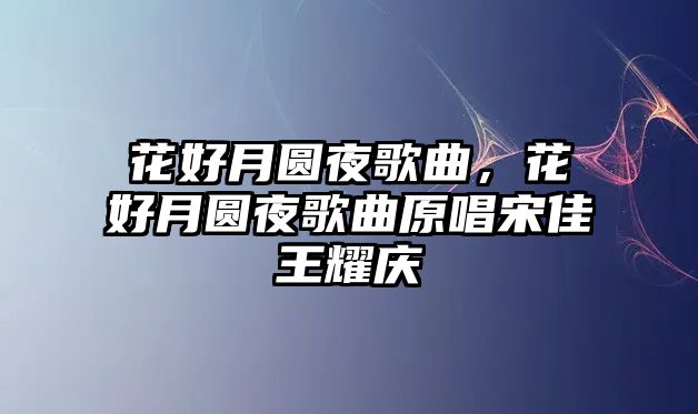 花好月圓夜歌曲，花好月圓夜歌曲原唱宋佳王耀慶