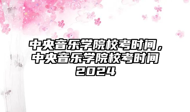 中央音樂學院校考時間，中央音樂學院校考時間2024